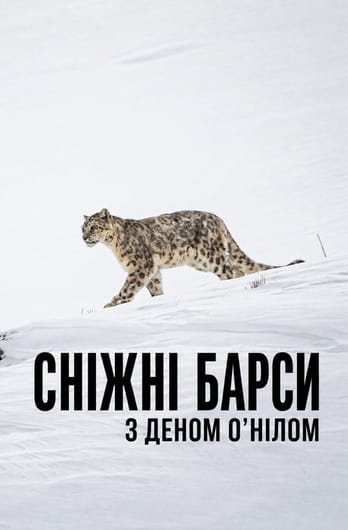 Сніжні барси з Деном О’Нілом