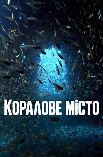 Коралове місто