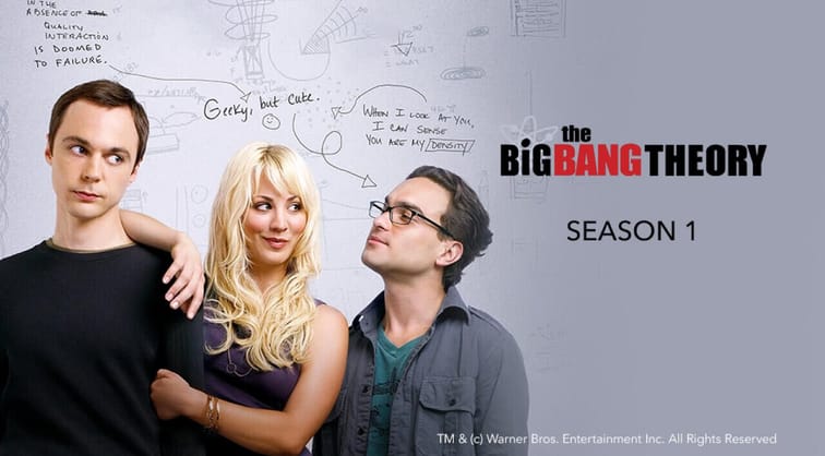 The Big Bang Theory: 1 Season
