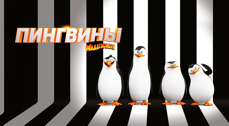 Пингвины Мадагаскара