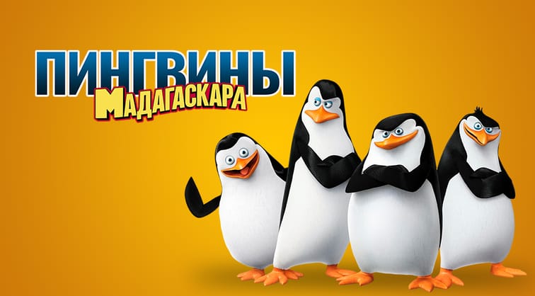 Пингвины Мадагаскара
