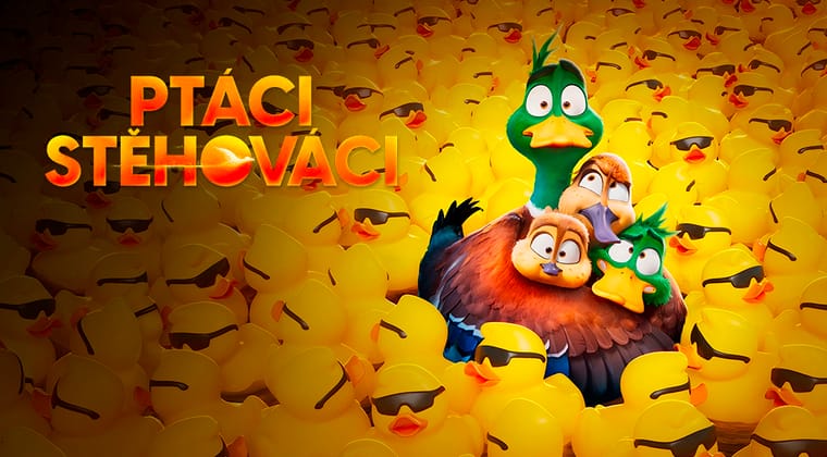 Ptáci stěhováci