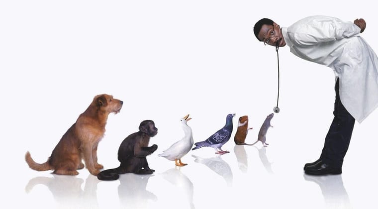 Doctor Dolittle