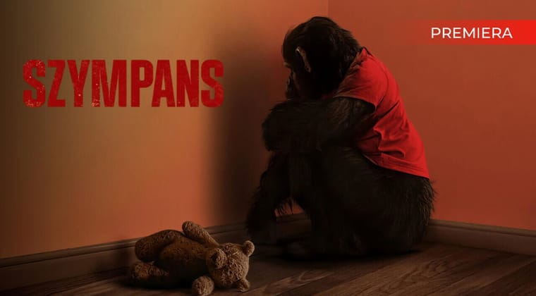 Szympans