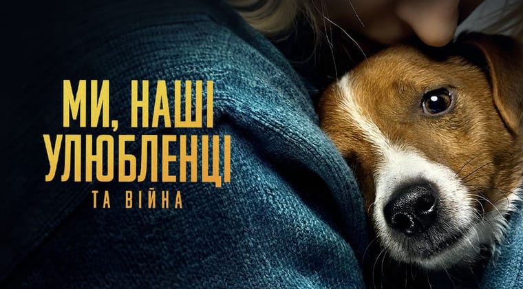 Ми, наші улюбленці та війна