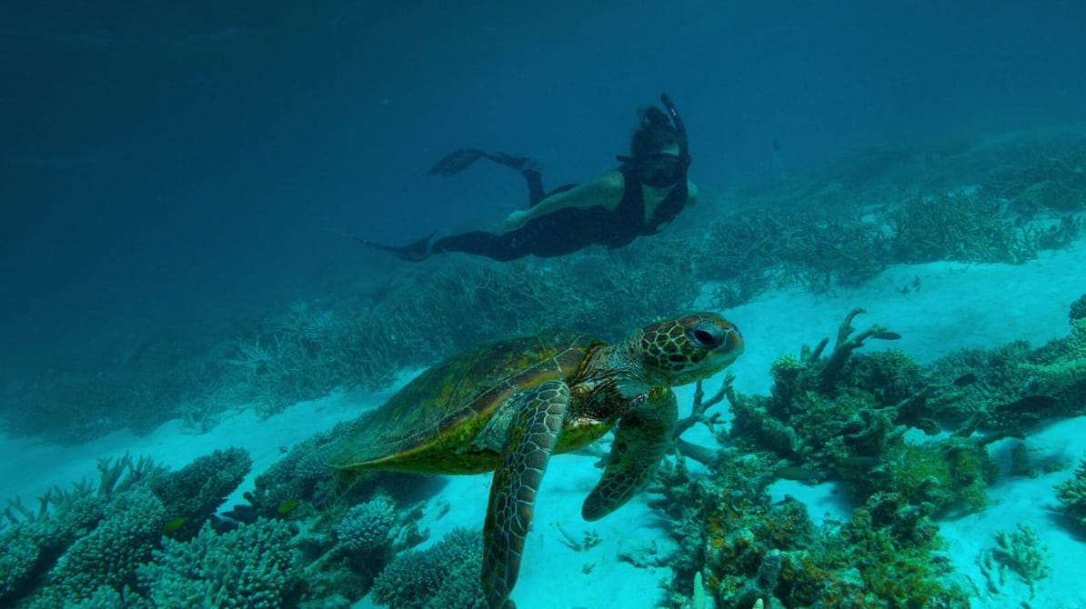 Глибини Австралії