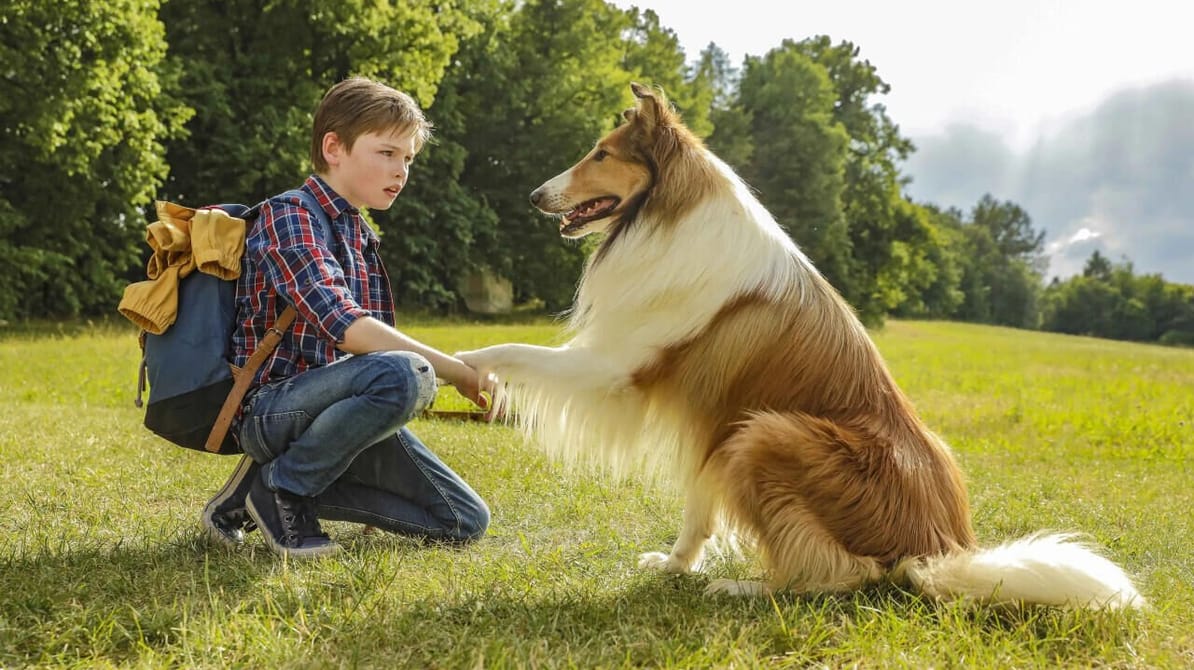 Lassie se întoarce acasă