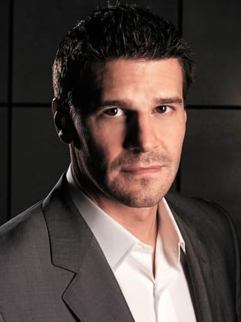 David Boreanaz