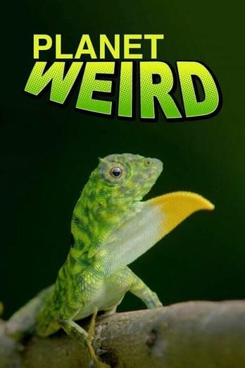 Planet Weird