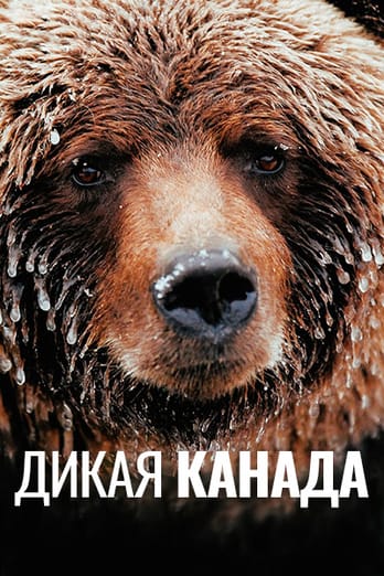 Дикая Канада