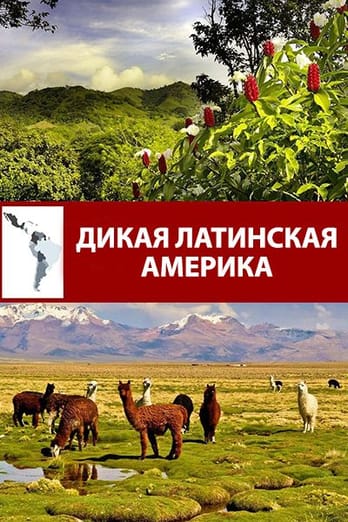 Дикая Латинская Америка