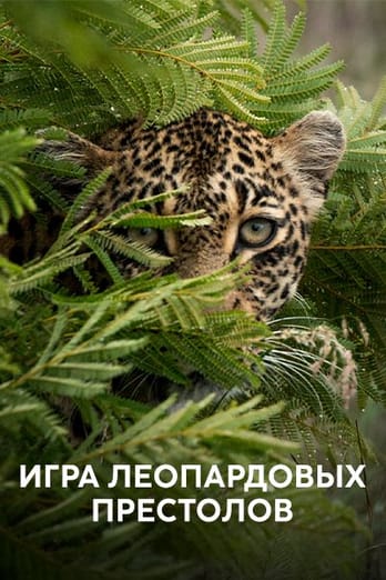 Игра леопардовых престолов