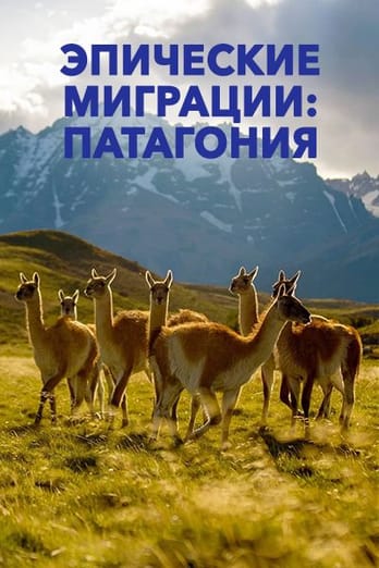 Эпические миграции: Патагония