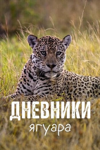 Дневники ягуара