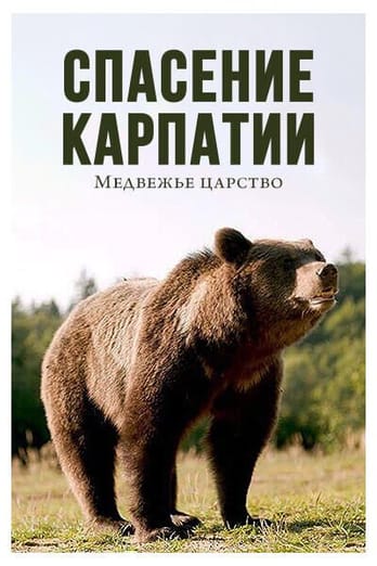 Спасение Карпат: медвежье царство