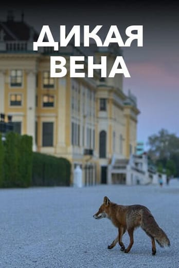 Дикая Вена