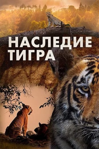 Наследие тигра
