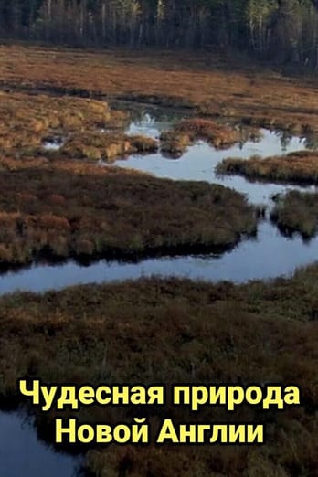 Чудесная природа Новой Англии