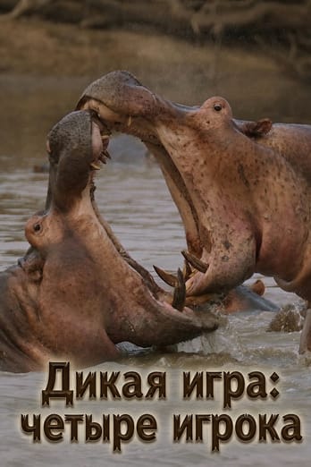 Дикая игра: четыре игрока