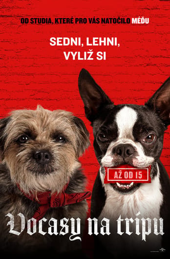 Vocasy na tripu