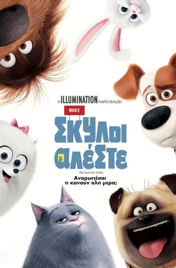 Μπάτε σκύλοι αλέστε