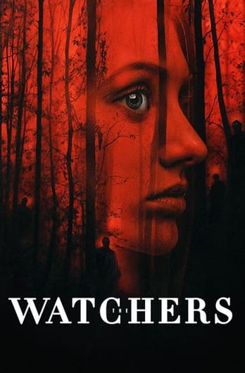 The Watchers