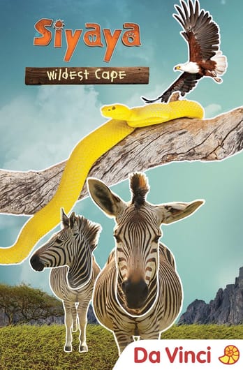 Siyaya - Wildest Cape