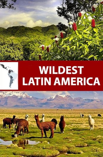 Wildest Latin America