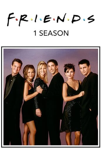 Friends: 1 Season
