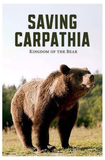 Saving Carpatia, Kingdom of the Bear