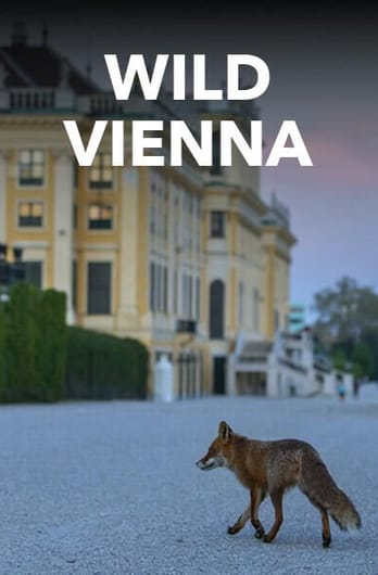 Wild Vienna
