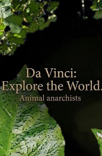 Da Vinci: Explore the World. Animal anarchists