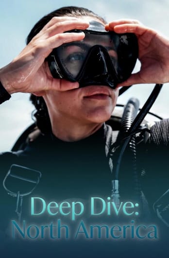 Deep Dive: North America