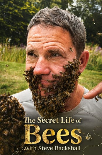 The Secret Life of Bees with Steve Backshall