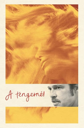 A tengernél