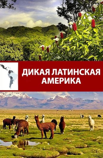 Дикая Латинская Америка