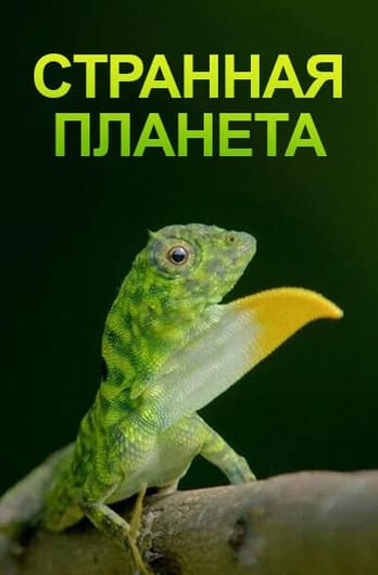 Странная планета