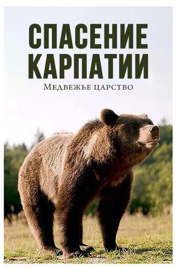 Спасение Карпат: медвежье царство