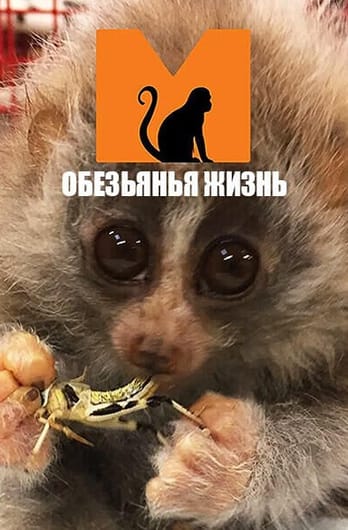 Обезьянья жизнь