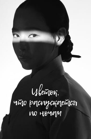 Цветок, что распускается по ночам