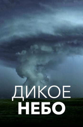 Дикое небо