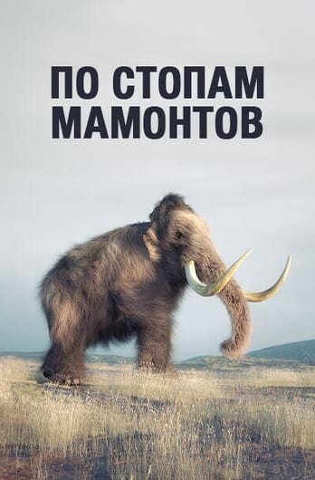 По стопам мамонтов