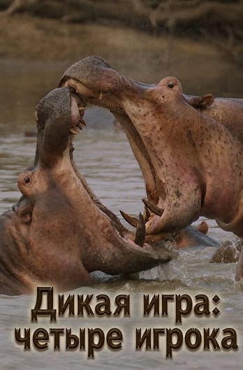 Дикая игра: четыре игрока