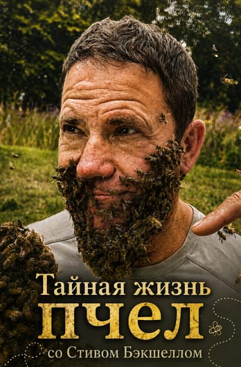 Тайная жизнь пчел со Стивом Бэкшеллом