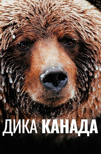 Дика Канада