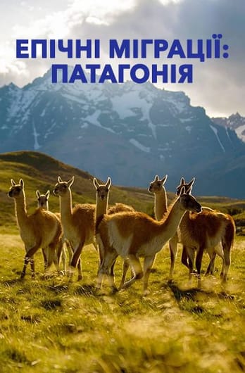 Епічні міграції: Патагонія