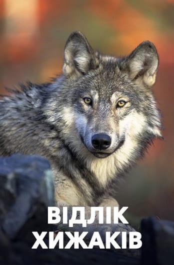 Відлік хижаків