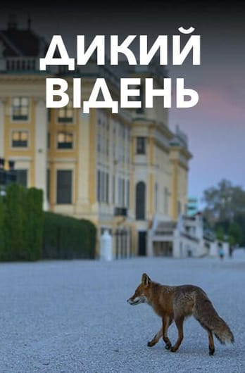 Дикий Відень