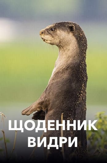 Щоденник видри