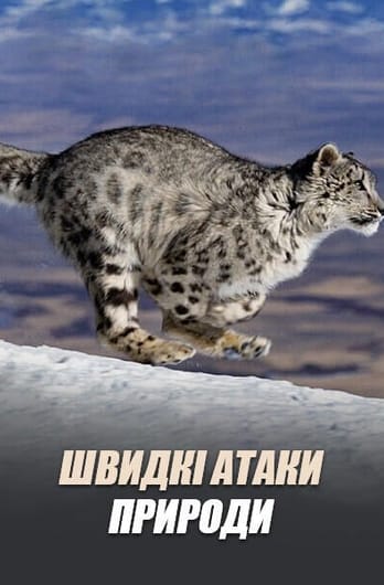Швидкі атаки природи